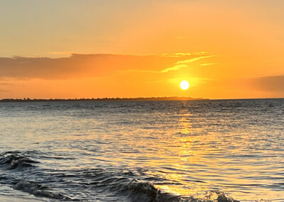 Our API membership has been invaluable!